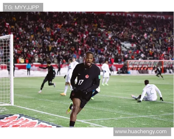 2026世界杯：全球足球盛宴揭幕，历史新篇章与未来挑战并存