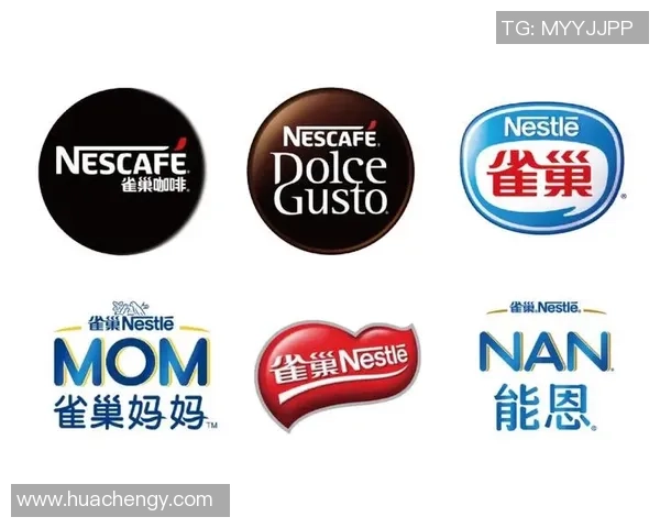 网球运动发展历程与未来趋势分析：从经典到现代的技术革新与全球化影响